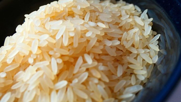 चावल